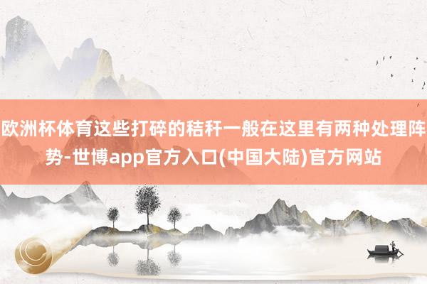 欧洲杯体育这些打碎的秸秆一般在这里有两种处理阵势-世博app官方入口(中国大陆)官方网站