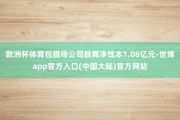 欧洲杯体育包摄母公司鼓舞净蚀本1.08亿元-世博app官方入口(中国大陆)官方网站