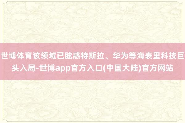 世博体育该领域已眩惑特斯拉、华为等海表里科技巨头入局-世博app官方入口(中国大陆)官方网站